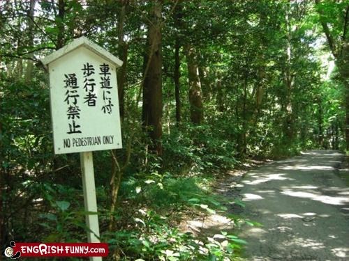 No pedestrian only