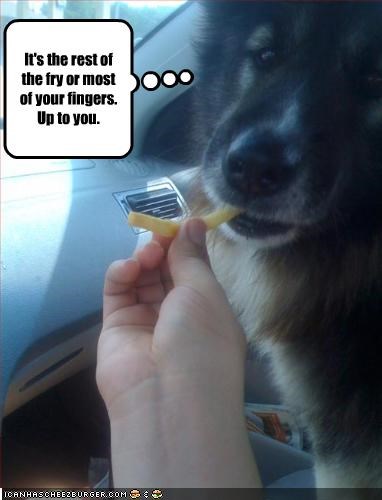 It's the rest of the fry or most of your fingers.  Up to you.