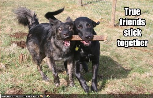 True friends
stick together