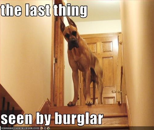 the last thing  seen by burglar