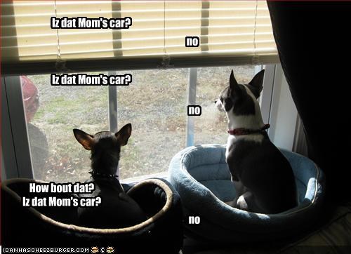 Iz dat Mom's car?