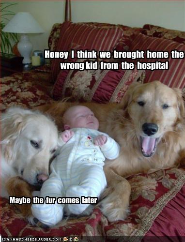 Honey  I  think  we  brought  home  the  wrong kid  from  the  hospital