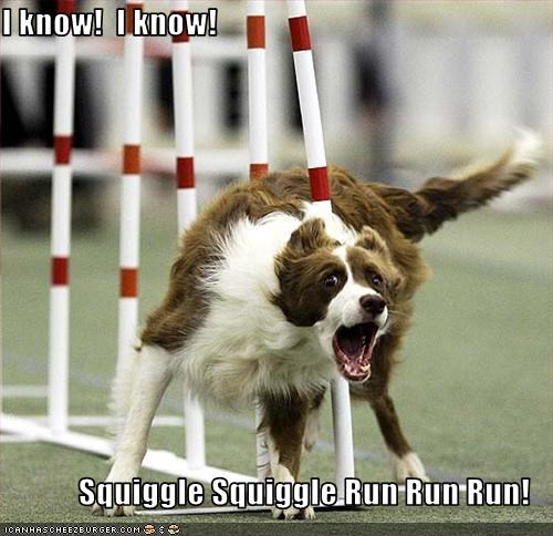 I know!  I know!  Squiggle Squiggle Run Run Run!