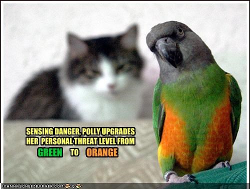 SENSING DANGER, POLLY UPGRADES HER  PERSONAL THREAT LEVEL FROM