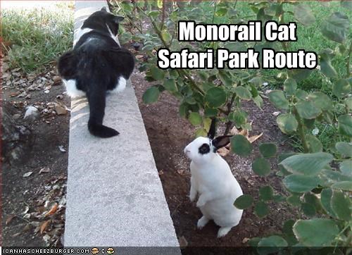 Monorail Cat
Safari Park Route