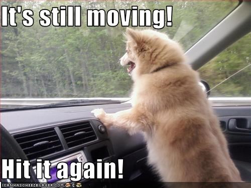 It's still moving!  Hit it again!