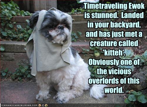 Timetraveling Ewok is stunned.  Landed in your backyard, and has just met a creature called 'kitteh'. 
Obviously one of 
the vicious overlords of this world.
