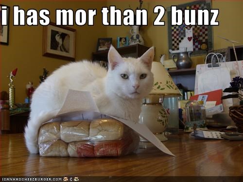 i has mor than 2 bunz