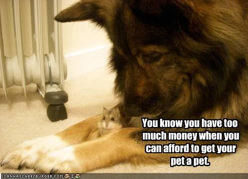 You know you have too
 much money when you
 can afford to get your 
pet a pet.