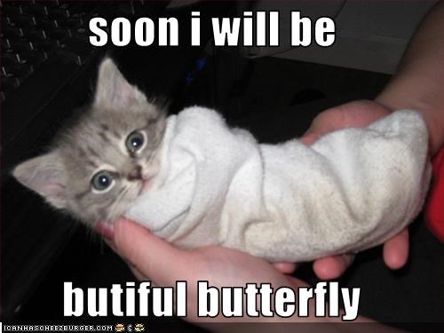 soon i will be  butiful butterfly