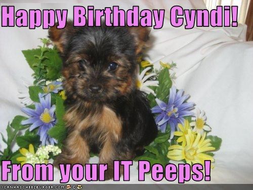 Happy Birthday Cyndi!  From your IT Peeps!