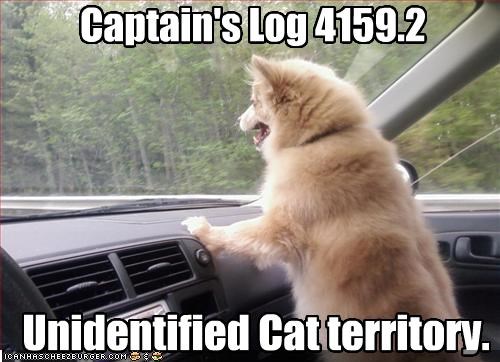 Captain's Log 4159.2
