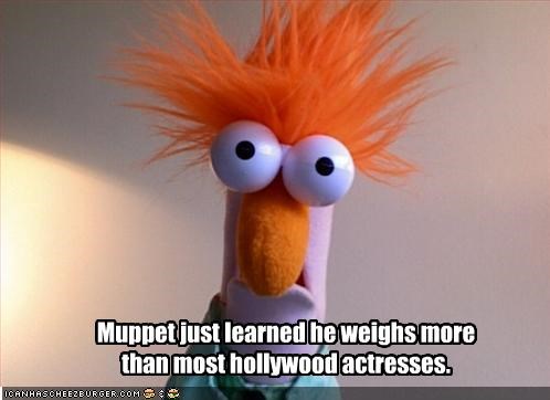 Muppet just learned he weighs more than most hollywood actresses.