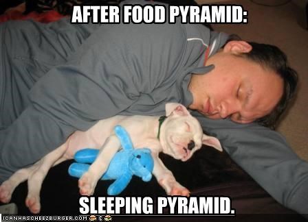 AFTER FOOD PYRAMID: