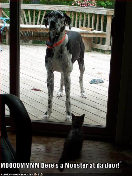 MOOOOMMMM Dere's a Monster at da door!