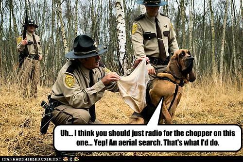Uh... I think you should just radio for the chopper on this one... Yep! An aerial search. That's what I'd do.