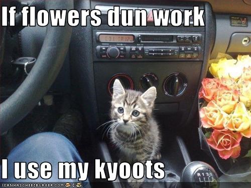 If flowers dun work  I use my kyoots