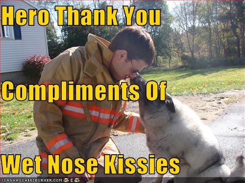 Hero Thank You Compliments Of Wet Nose Kissies