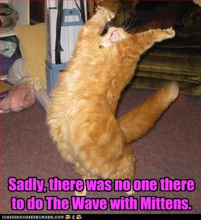 Sadly, there was no one there to do The Wave with Mittens.