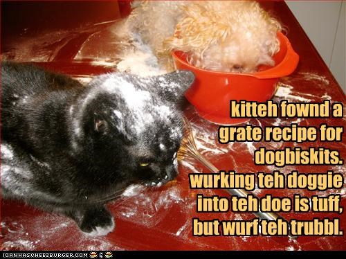 kitteh fownd a 
grate recipe for dogbiskits.
wurking teh doggie into teh doe is tuff, but wurf teh trubbl.
