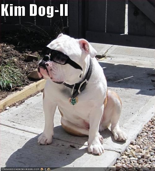 Kim Dog-Il