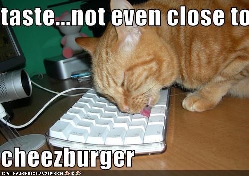 taste...not even close to  cheezburger