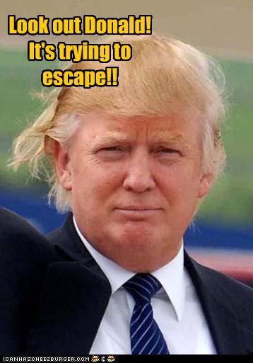 Look out Donald!
It's trying to escape!!