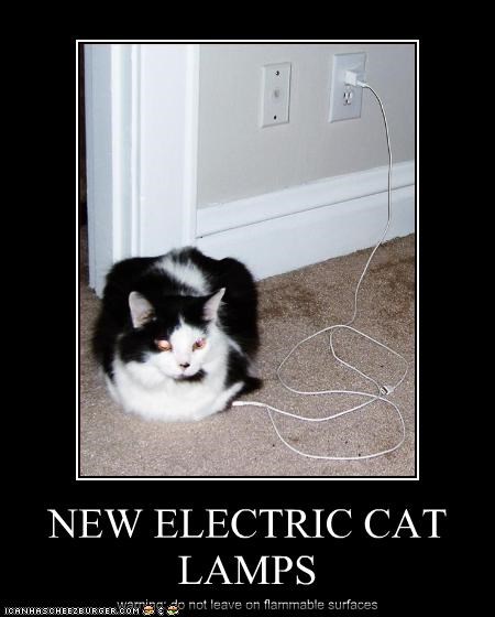 NEW ELECTRIC CAT LAMPS