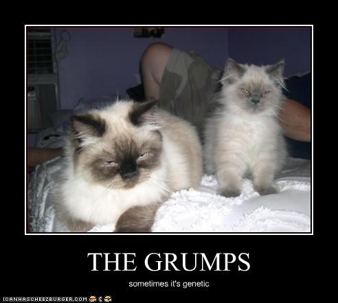 THE GRUMPS