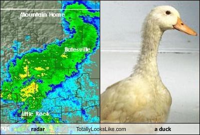 radar Totally Looks Like a duck