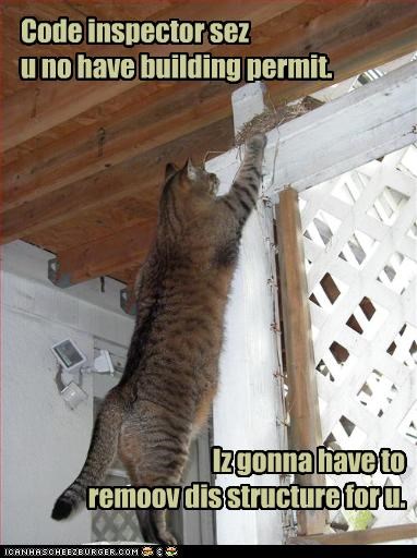 Code inspector sez 
u no have building permit.










                                     Iz gonna have to 
             remoov dis structure for u.
