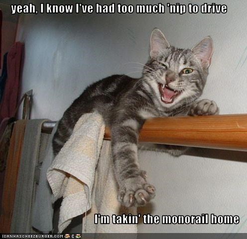 yeah, I know I've had too much 'nip to drive  I'm takin' the monorail home