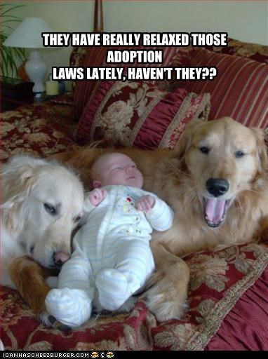 THEY HAVE REALLY RELAXED THOSE ADOPTION 
LAWS LATELY, HAVEN'T THEY??