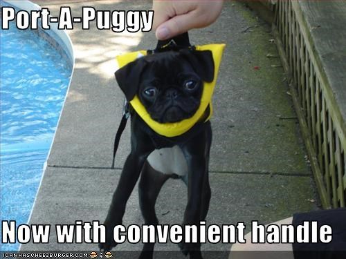 Port-A-Puggy  Now with convenient handle