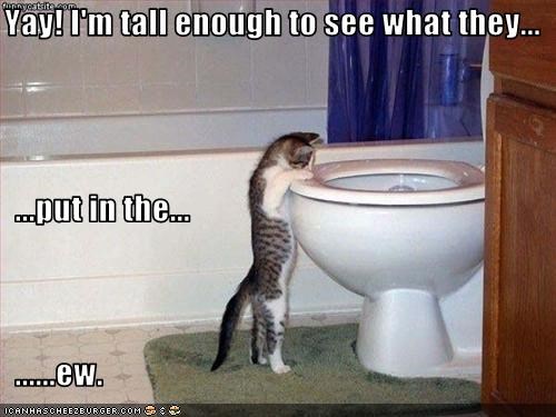 Yay! I'm tall enough to see what they...   ...put in the...   ......ew.