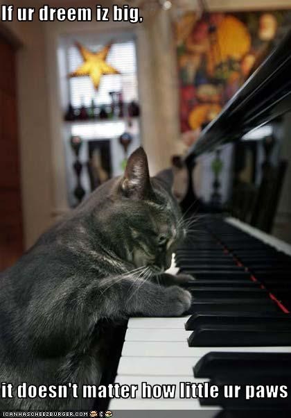 If ur dreem iz big,  it doesn't matter how little ur paws