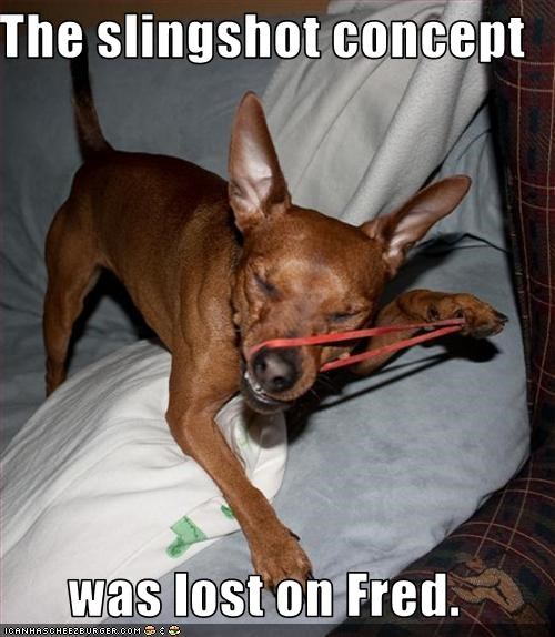 The slingshot concept  was lost on Fred.