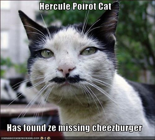 Hercule Poirot Cat  Has found ze missing cheezburger