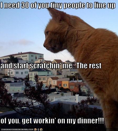 I need 30 of you tiny people to line up and start scratchin' me.  The rest of you, get workin' on my dinner!!!