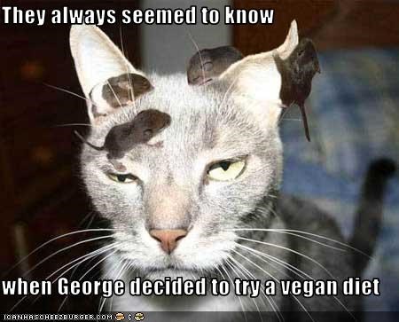 They always seemed to know  when George decided to try a vegan diet