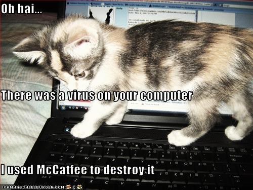 Oh hai... There was a virus on your computer I used McCatfee to destroy it