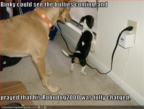 Binky could see the bullies coming, and   prayed that his Robodog2000 was fully charged.