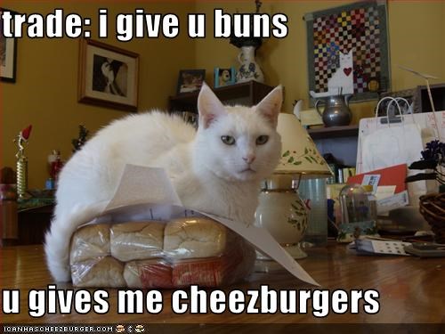 trade: i give u buns  u gives me cheezburgers