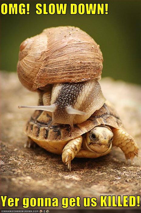 OMG!  SLOW DOWN!  Yer gonna get us KILLED!