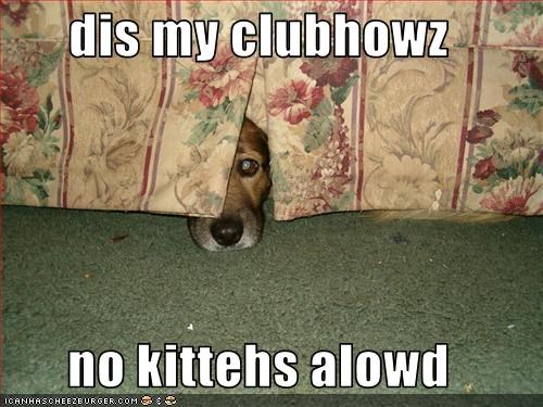 dis my clubhowz  no kittehs alowd
