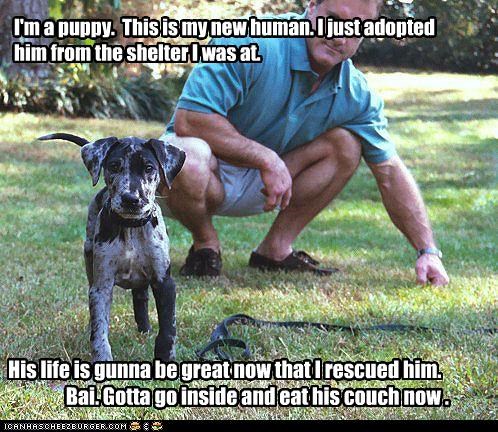 I'm a puppy.  This is my new human. I just adopted 
him from the shelter I was at.
