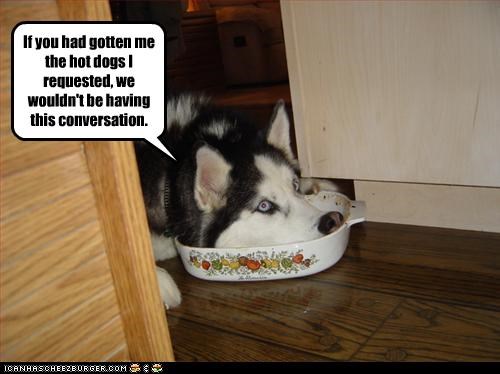 If you had gotten me the hot dogs I requested, we wouldn't be having this conversation.
