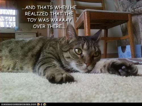 ...AND THATS WHEN HE REALIZED THAT THE TOY WAS WAAAAY OVER THERE...