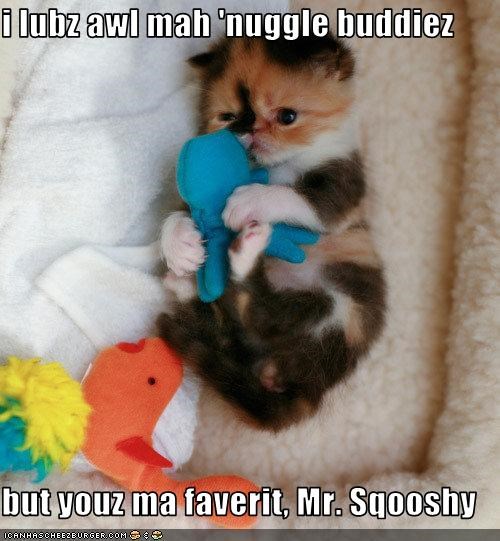 i lubz awl mah 'nuggle buddiez  but youz ma faverit, Mr. Sqooshy