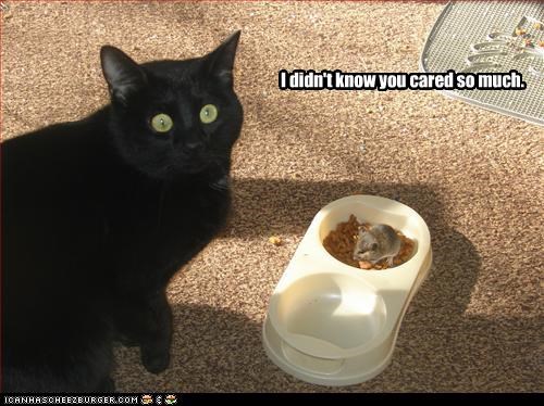 I didn't know you cared so much.